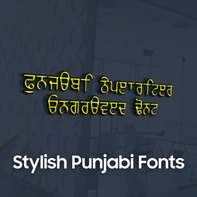 Punjabi Typewriter Font