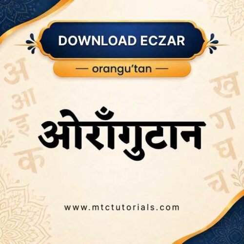 Eczar hindi font