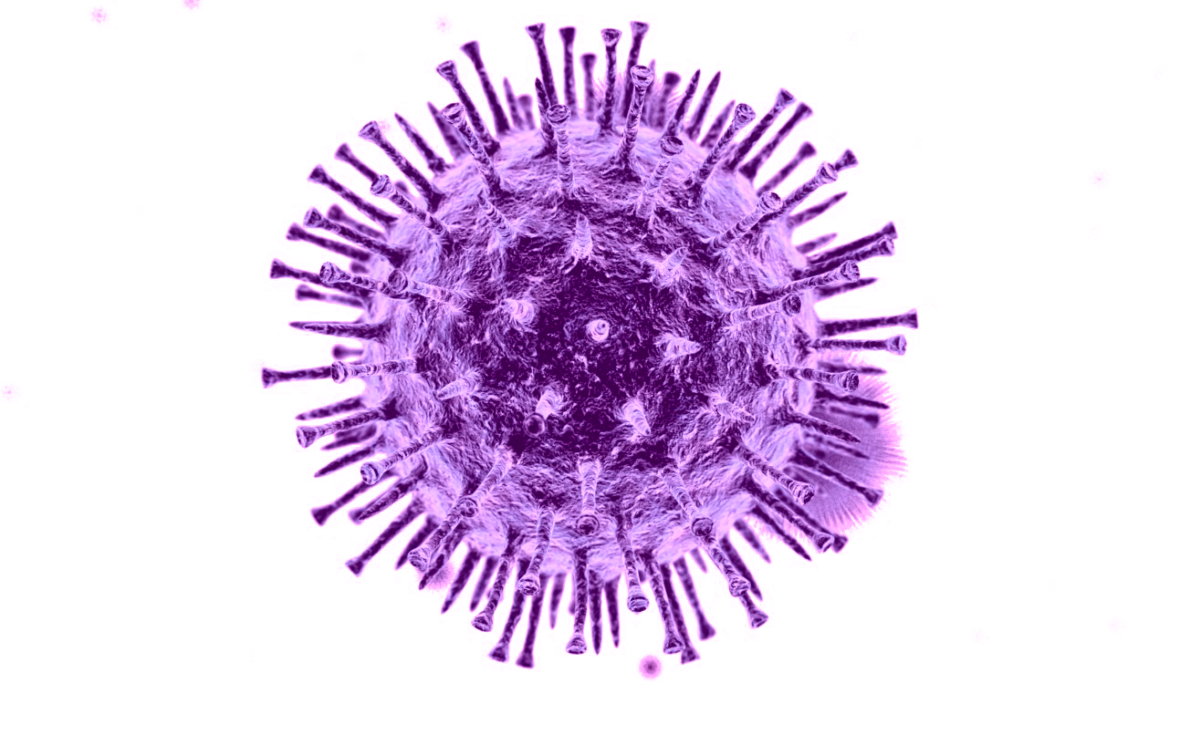 Векторный коронавирус